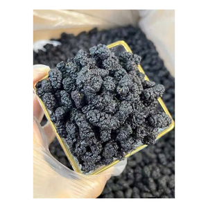 ผู้จัดจำหน่ายมัลเบอร์รี่อบแห้งพรีเมียมจากเวียดนาม 100% ธรรมชาติ ไม่เติมน้ำตาล ส่งตรงจากโรงงาน - Product Image 5