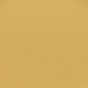 Platos Desechables Hechos en Pakistán, Alta Calidad, OEM, ODM, Ligeros, Proveedor de Logotipos Personalizados, Platos Desechables - Product Image 5