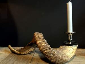 Lámpara de Pared de Diseño de Alta Gama con Forma de Cuerno, LED, Decorativa para Interiores, para Dormitorio, Sala de Estar, Villa - Product Image 2