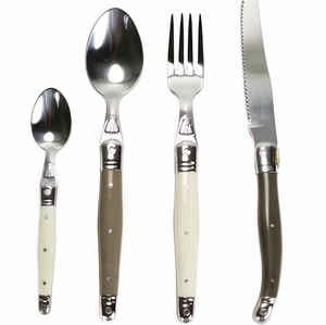 Ensemble de couverts vintage en acier inoxydable avec manches en résine, couteau, fourchette, cuillère, cuillère à café, vaisselle de camping durable - Product Image 1