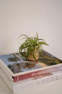 Jarrón de Cerámica Minimalista con Acabado Beige Neutro, Diseño Compacto y Esmalte Liso, Ideal para Decoración Moderna de Escritorio - Product Image 5