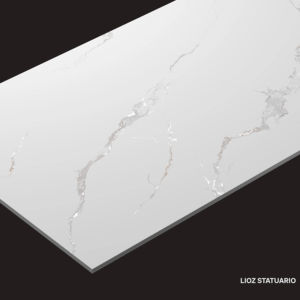 กระเบื้องพอร์ซเลนแกะสลักลายหรูหรา ขนาด 600x1200 มม. กระเบื้องปูพื้นและผนังขนาดใหญ่ สำหรับตกแต่งภายในระดับไฮเอนด์ - Product Image 1