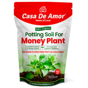 Casa De Amor Enriched Organic <b>Potting</b> Soil Mix for <b>Money</b> Plant, Devil's Ivy, Ceylon Creeper | Light Weight | Ready to Use - Product Image 1
