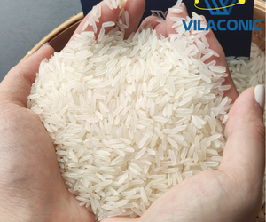 Riz aromatique vietnamien de haute qualité KDM |   Riz long grain de haute qualité Récolte 2026 Taux de brisures de 5% |   Celeste VILACONIC - Product Image 2