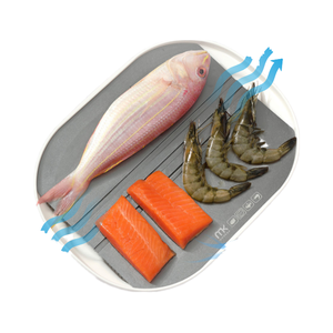 Caja de descongelación de alimentos, descongelación de carne, 2025 para mayoristas en línea - Product Image 1