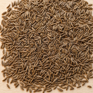 Semillas de Comino Indio de Primera Calidad para Exportación, Semillas de Jeera Enteras, Limpias y Clasificadas, Empaquetado a Granel para Venta al por Mayor - Product Image 1