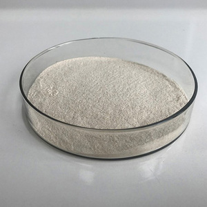 Enzyme protéase alcaline de qualité alimentaire avancée pour une meilleure digestion des protéines et l'amélioration de la qualité des aliments - Product Image 3