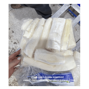 MEJOR OFERTA - RAÍZ DE YUCA CONGELADA ORIGEN VIETNAM EN GRANDES CANTIDADES LISTA PARA EXPORTAR / RAÍZ DE YUCA CONGELADA - CARYLN - Product Image 1