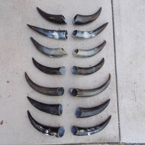 Par de Cuernos de Longhorn Pulidos para Decoración de Pared, Diseño Art Deco Ecológico, Grandes de 10 y 18 Pulgadas, para Bodas, Cumpleaños, Aniversarios, Año Nuevo - Product Image 1