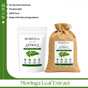 Extracto de Hoja de Moringa – Extracto Botánico Natural de Primera Calidad para Fabricación de Cosméticos, Cuidado Personal y Venta al por Mayor a Nivel Mundial - Product Image 3