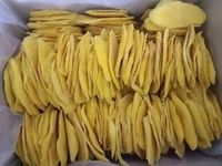 Tropische Zachte Gedroogde Mango Van Vietnam Gezonde Veganistische Snack, Private Label Fabrikant