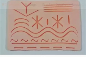 ชุดอุปกรณ์ฝึกเย็บแผลด้วยมือพร้อมแผ่นฝึก - Product Image 2