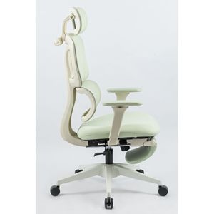 Sedia da Ufficio Ergonomica con Schienale Alto, Supporto Lombare Dinamico, Poggiatesta 2D, Braccioli 2D e Poggiapiedi - Product Image 6