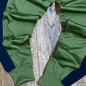 Unisex Green Tracksuit Solid Color Full Sleeve Zipper Closure Casual Wear Autumn Breathable Polyester Material Regular Fit - Product Image 6