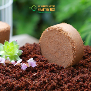 ECO2GO VIETNAM - Pellets de Fibra de Coco Comprimida con Buena Drenación y Combo de Maceta de Fibra de Coco para Plántulas de Vivero - Product Image 6