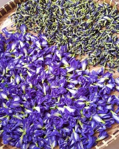 Fleur de pois papillon séchée de haute qualité, ingrédient pour boisson, fleur de thé bleu entière, ingrédient pour bubble tea - Product Image 3