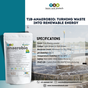 Bioculture anaérobie pour la digestion des eaux usées organiques et la récupération efficace de l'énergie du biogaz - Product Image 4