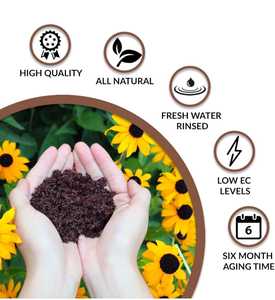 Bloc de fibre de coco pour la culture des plantes de jardin, substitut de terre léger et biodégradable, 2 blocs - Product Image 3