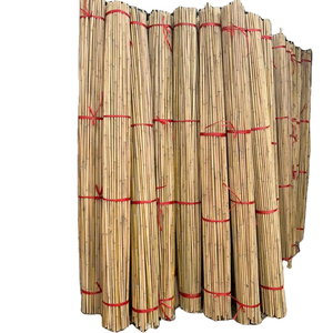 Poteau en bambou naturel pour la construction et le mobilier du Vietnam, matériau robuste pour la construction, les échafaudages, la décoration et l'utilisation en extérieur - Product Image 1