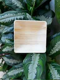 Square Palm Leaf <b>Plate</b> with Lid <b>Disposable</b> Eco-Friendly Biodegradable Traditional Party Use - Product Image 3