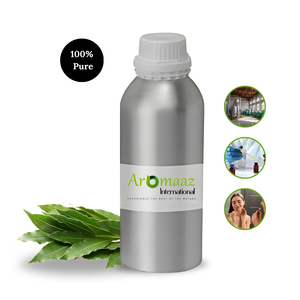 Fabricant d'huile essentielle de laurier, huile de feuilles de laurier 100% distillée à la vapeur pour tous types de peaux - Product Image 6