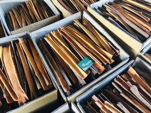 Mejor precio Split Yen Bai Cinnamon/Cassia Stick Especias y hierbas Procesamiento crudo seco Contacto Mr. Henry + 84368 591 192 - Product Image 4