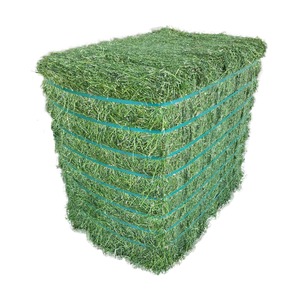 Foin d'alfalfa de qualité export disponible à un prix bas et compétitif pour les marcheurs en gros internationaux - Product Image 6