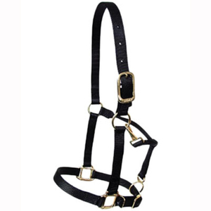 Cabestro Ajustable para Caballos de Alta Calidad, Suministro al por Mayor para Uso Profesional y Ecuestre al Mejor Precio - Product Image 4