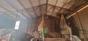 Bâtons d'encens en poudre de bois blanc de qualité supérieure, Agarbatti, respectueux de l'environnement, encens religieux, export direct du fabricant du Vietnam - Product Image 6