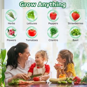 Kit da 120 Pezzi per Coltivazione Idroponica: Include 30 Cestelli, 30 Coperchi, 30 Spugne, 30 Supporti per Irrigazione Idroponica - Product Image 4