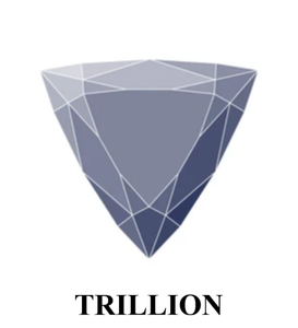 Piedra Preciosa de Labradorita/Spectrolita Natural con Corte Trillón de 16 mm, Certificada por IGI, Marca SUNSHINE JAIPUR, 14.50 Quilates, Venta al Por Mayor - Product Image 3