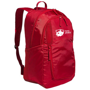 Comfortable Lightweight Handle Breathable Smooth Zipper Closure Adjustable Shoulder <b>Strap</b> Custom Logo Polyester Travel Back Pack - Product Image 1