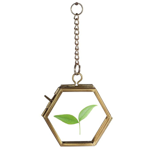 Mini Cute Photo <b>Frame</b> Hexagon Shape Clear Glass Hanging Wall Decoration <b>Frame</b> Pressed Leaf Decorate Hanging <b>Frame</b> <b>Gold</b> Finished - Product Image 3