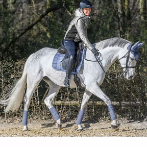Tapis de selle haute performance pour chevaux, doté d'une construction matelassée durable et d'un tapis de selle de qualité supérieure pour une excellence équestre - Product Image 5