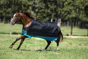 Mantas de Algodón para Caballos de Verano - Forma Ovalada, Forro de Nailon 210, Todos los Colores Disponibles - Product Image 2