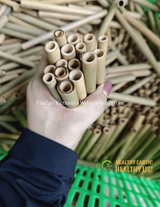 Tubos de Bambú y Caña 100% Naturales para Hoteles de Insectos |   Tubos de anidación personalizados, no tóxicos y libres de químicos, de Vietnam - Product Image 4