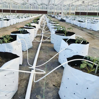 Système d'irrigation goutte à goutte agricole pour serre, avec tuyau de compensation de pression en plastique 2L 4L 8L et goutteur fléché économiseur d'eau