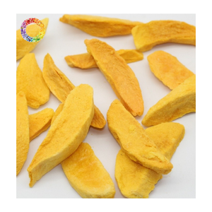 Mango Liofilizado, Snack de Fruta Tropical de Primera Calidad, Mango Liofilizado en Polvo, Producto Más Vendido - Product Image 3