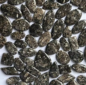 Natural Turritella <b>Fossil</b> Mix Shape Loose Gemstones 5-10g 4-7mm ARHAN GEMS for Jewelry Making - Product Image 1