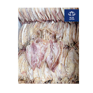Excellent rapport qualité-prix, Sécheur de calamars sûr, propre et écologique, Pur produit de la mer, Idéal pour la préparation de plats de fruits de mer et la présentation de snacks de bar, Prix direct - Product Image 1