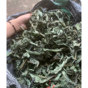Feuilles de stévia séchées vietnamiennes de haute qualité en gros - Product Image 2