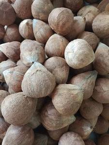 Noix de coco décortiquée Coco seco Coco secco sgusciato à faible humidité du Vietnam pour les acheteurs (WA +84914319488) - Product Image 4