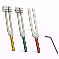 Set Garpu Tuning ENT Manual Berlapis Warna WORLD PRECISION SURGICAL 128 256 512 Hz Kunci Hex Getar Diagnostik Medis CE