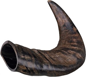 Corne creuse de buffle d'eau indien naturelle, toutes tailles, pour chien, technique brute, haute qualité, étanche, vente chaude - Product Image 3
