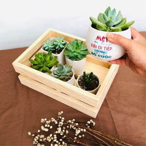 Caja de maceta de flores de madera Cajas de flores de paisaje de plantas Caja de plántulas de madera Proveedores al por mayor para la venta - Product Image 2