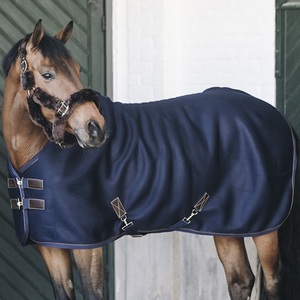 Couverture d'extérieur pour cheval en tissu Oxford bleu, col standard, 2 sangles de fixation, accessoires en acier inoxydable, utilisation extérieure toutes saisons, fabricant - Product Image 2