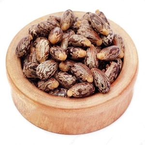 Graines de ricin de qualité supérieure, naturelles et matures, pour l'exportation en vrac, emballées en sacs tissés pour l'extraction d'huile industrielle - Product Image 4