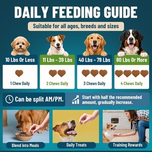 Tabletas Probióticas de Absorción Rápida para la Salud Digestiva de Perros, con Calabaza, para Equilibrar el Intestino y Reforzar el Sistema Inmunológico, Sin Granos, 2G/unidad, Suplemento para Mascotas - Product Image 3