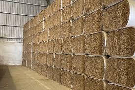 Dry Corn Silage Square Bales Getrocknetes Tierfutter Heu für Schweine Schaf pferde Fisch verpackt Pakistan für Viehfutter zusatz - Product Image 5