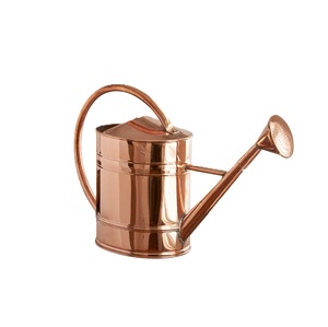 Arrosoir en métal durable finition dorée pour plantes d'intérieur et d'extérieur, anti-fuite - Product Image 4